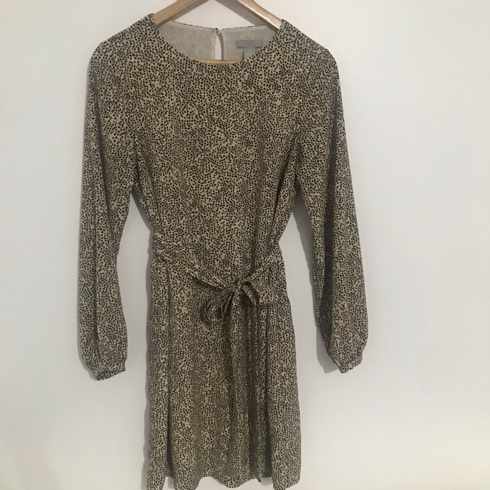H&M leopard print dress